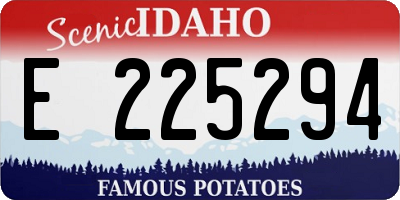ID license plate E225294