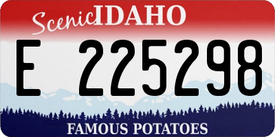 ID license plate E225298