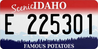 ID license plate E225301