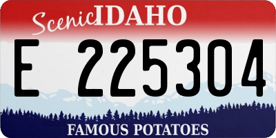 ID license plate E225304