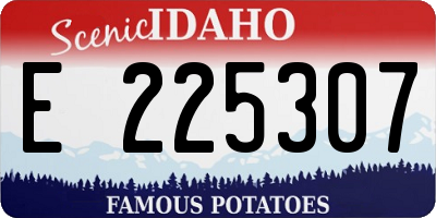 ID license plate E225307