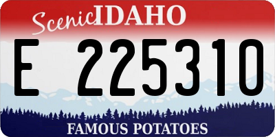 ID license plate E225310