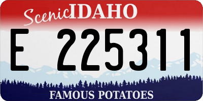 ID license plate E225311