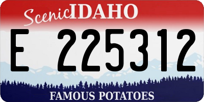 ID license plate E225312