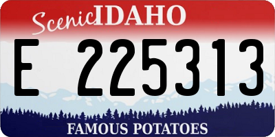 ID license plate E225313