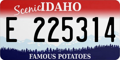 ID license plate E225314