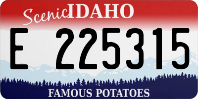 ID license plate E225315