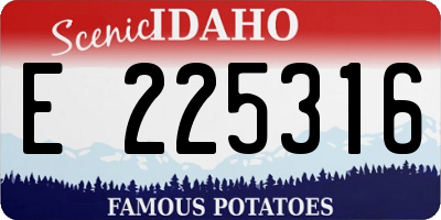 ID license plate E225316