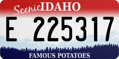 ID license plate E225317
