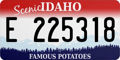 ID license plate E225318