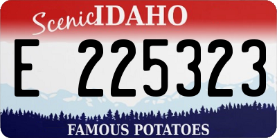 ID license plate E225323