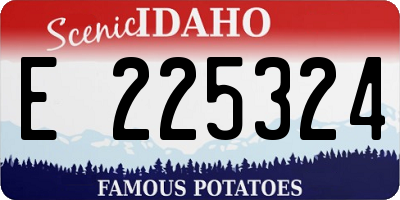 ID license plate E225324