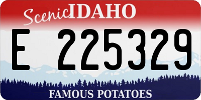 ID license plate E225329
