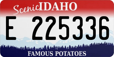 ID license plate E225336