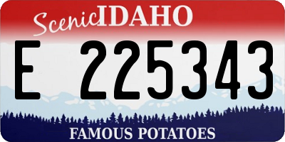 ID license plate E225343