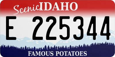 ID license plate E225344