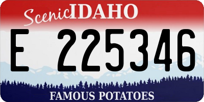 ID license plate E225346