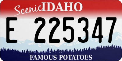 ID license plate E225347