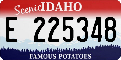 ID license plate E225348