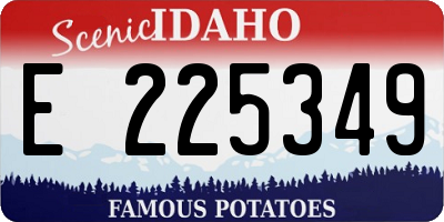 ID license plate E225349