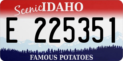 ID license plate E225351