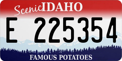 ID license plate E225354