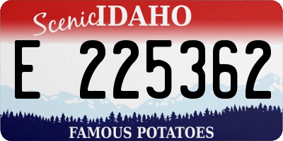 ID license plate E225362