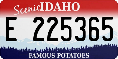 ID license plate E225365