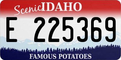 ID license plate E225369