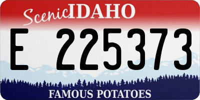 ID license plate E225373
