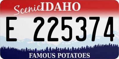 ID license plate E225374