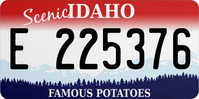 ID license plate E225376