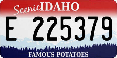 ID license plate E225379