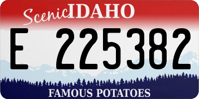 ID license plate E225382