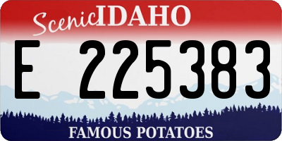 ID license plate E225383