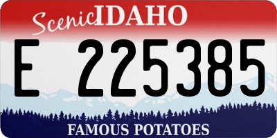 ID license plate E225385