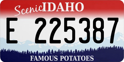 ID license plate E225387