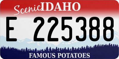 ID license plate E225388