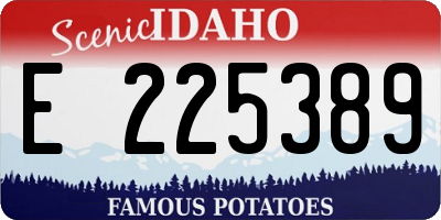 ID license plate E225389