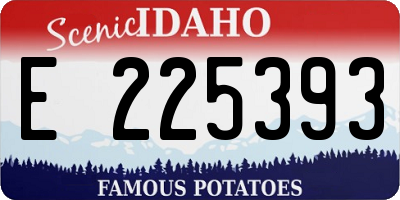 ID license plate E225393