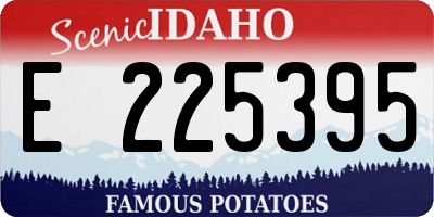 ID license plate E225395