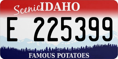ID license plate E225399