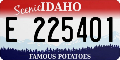 ID license plate E225401
