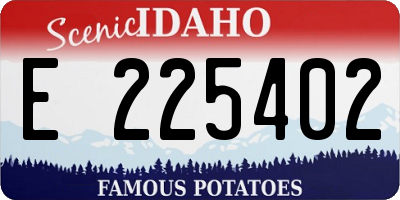 ID license plate E225402