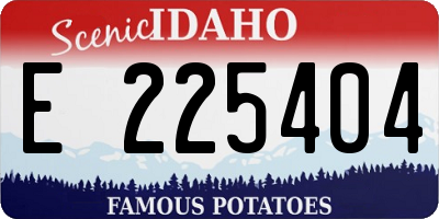 ID license plate E225404
