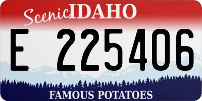 ID license plate E225406