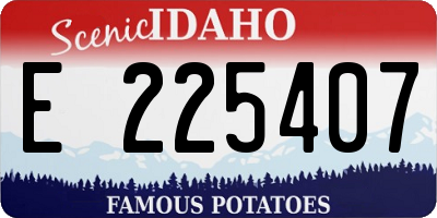 ID license plate E225407