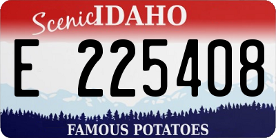 ID license plate E225408