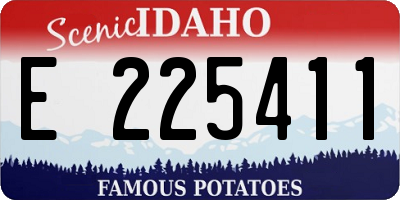 ID license plate E225411