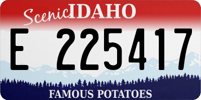 ID license plate E225417